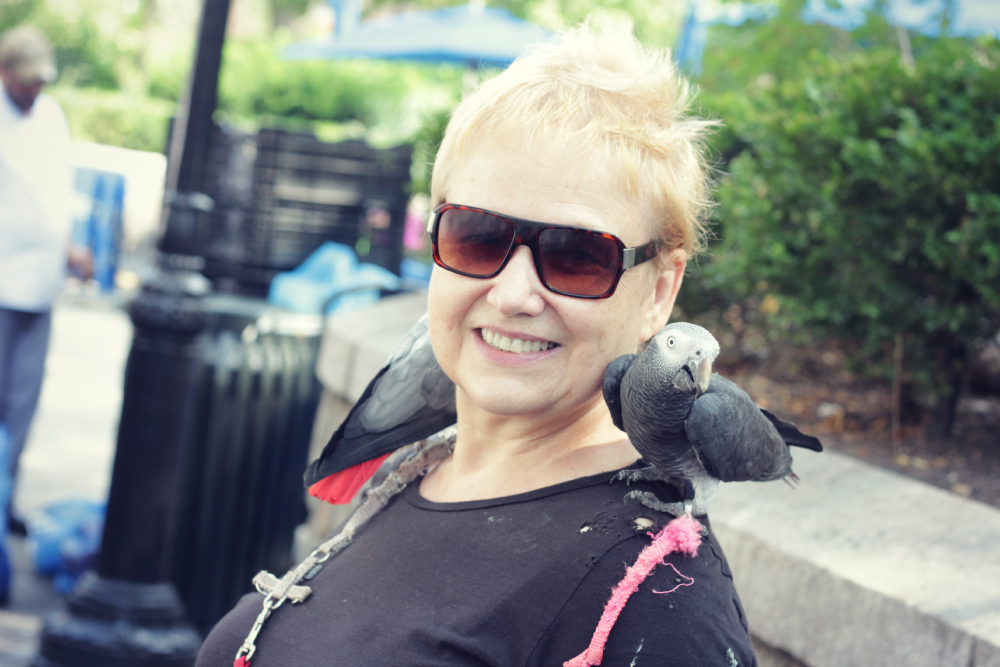 papagaio negro preto NY Union Square